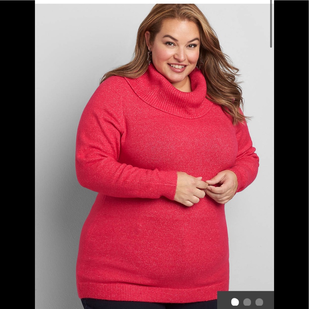 🍉🆕LB cowl neck sweater